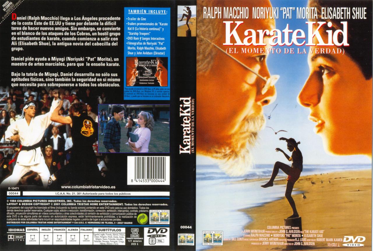 Karate Kid 1984