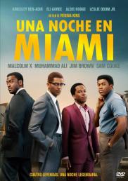 Una noche en Miami...