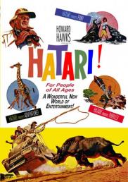 Hatari