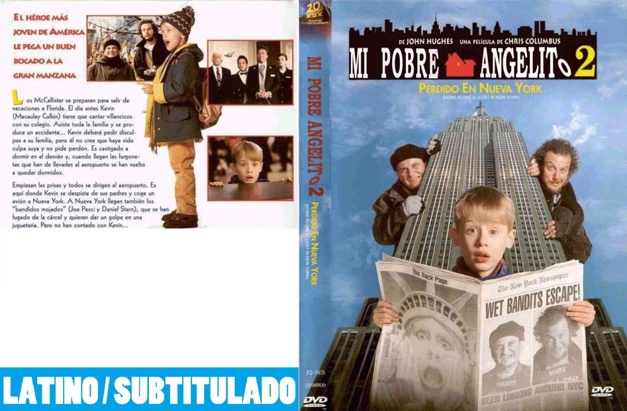 Mi pobre angelito 2: Perdido en Nueva York