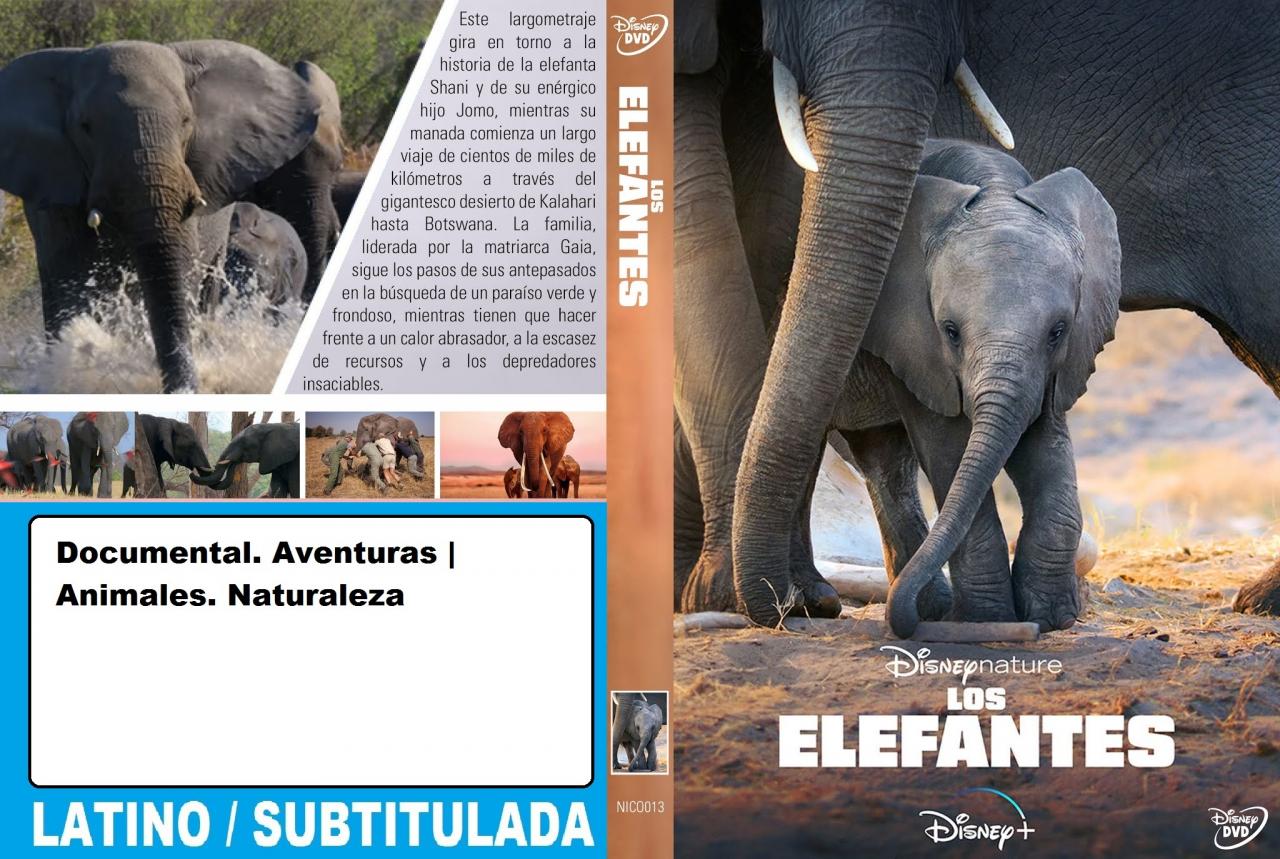 Elephant - Los Elefantes