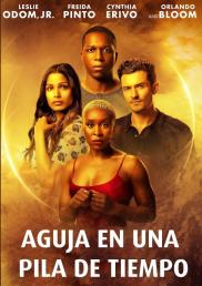 Aguja en una pila de tiempo