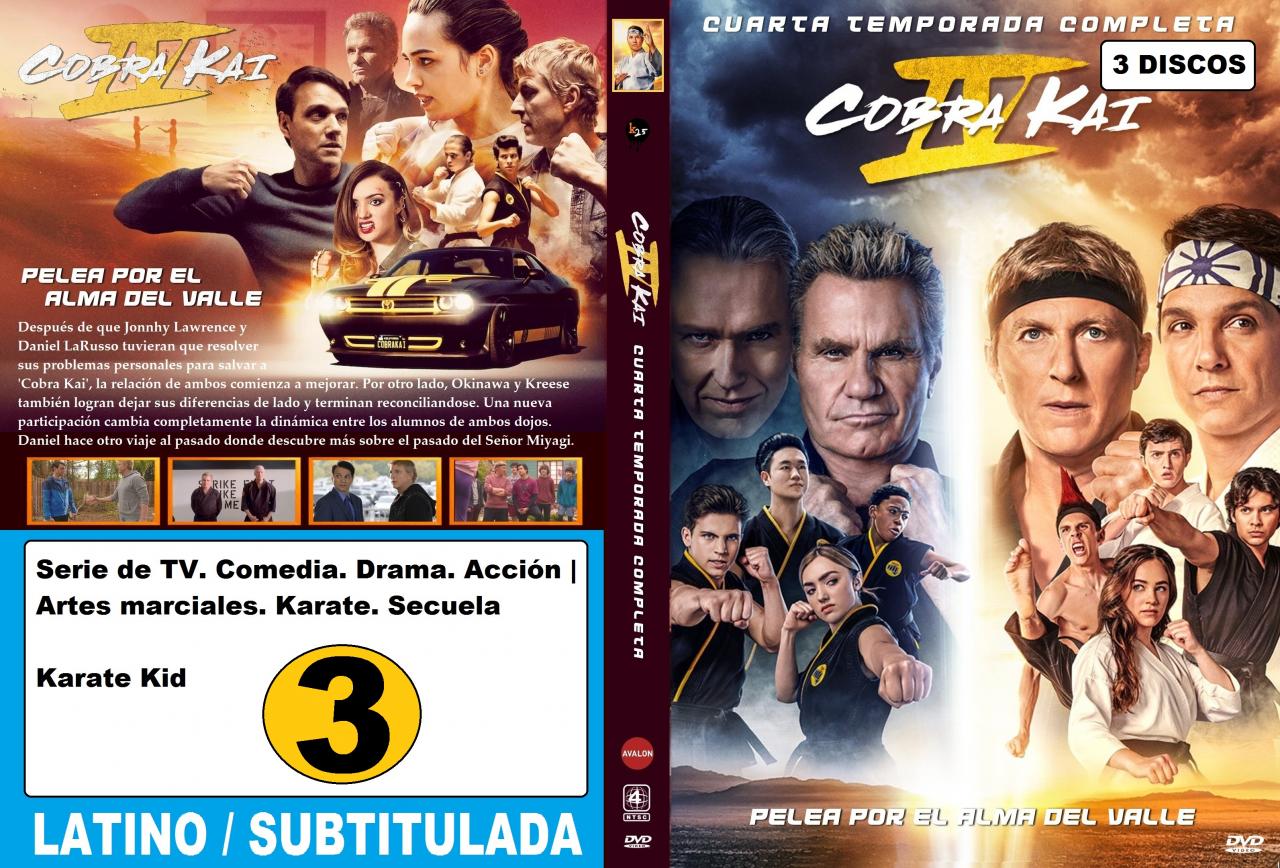 Cobra Kai - Temporada 4