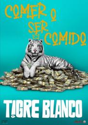 Tigre blanco