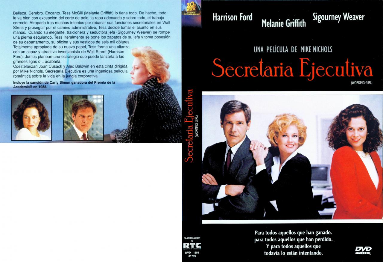 Working Girl - Secretaria ejecutiva