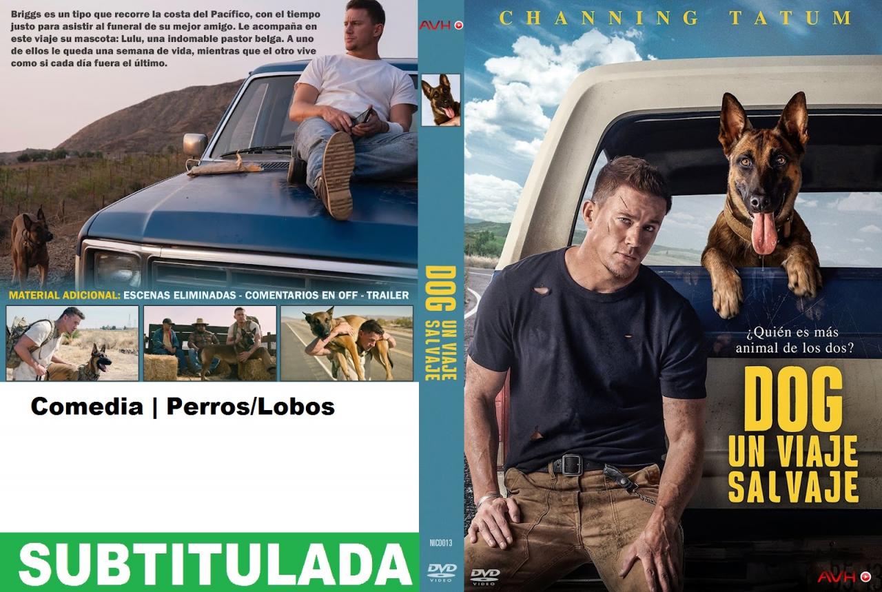 Dog - Perro. Un viaje salvaje (subtitulada)