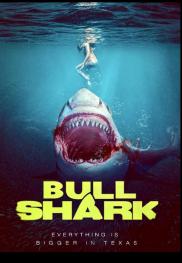Bull Shark