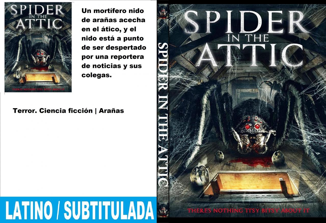 Spider in the Attic
