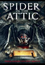 Spider in the Attic