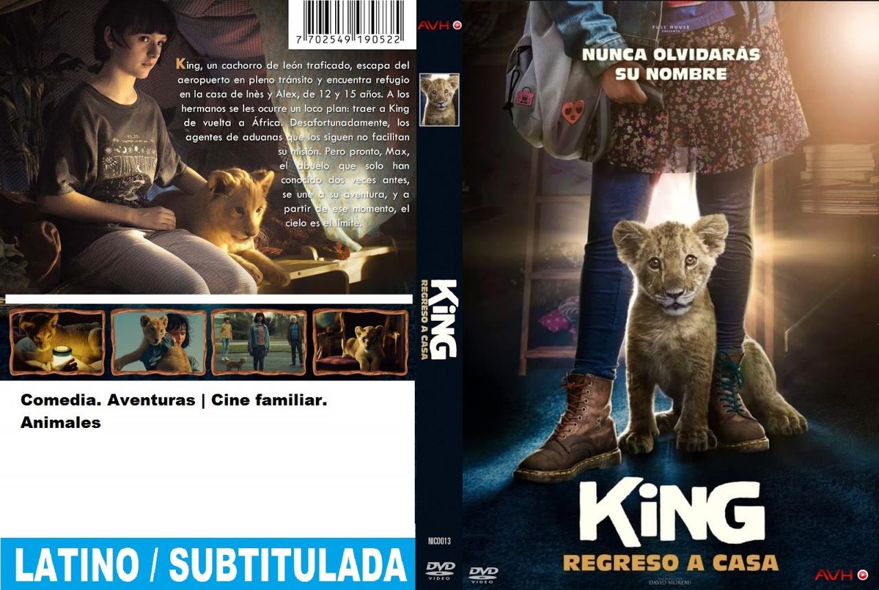 King: Regreso a casa