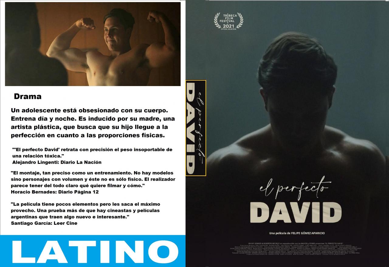 El perfecto David