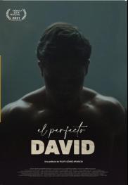 El perfecto David