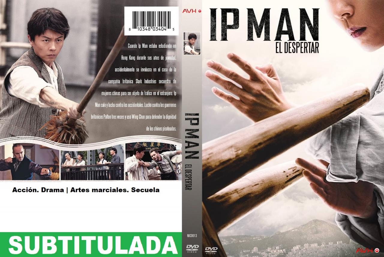 Ip Man:  El despertar