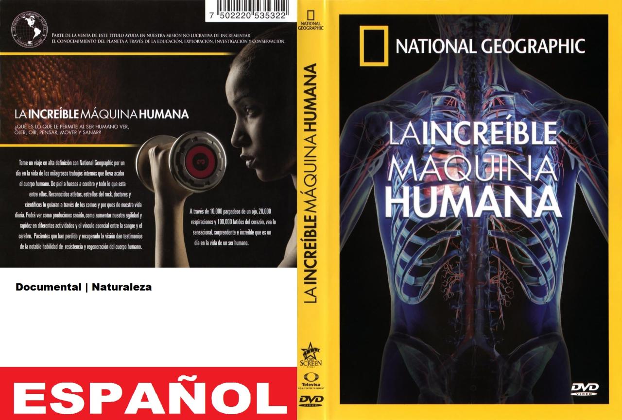 La increíble máquina humana