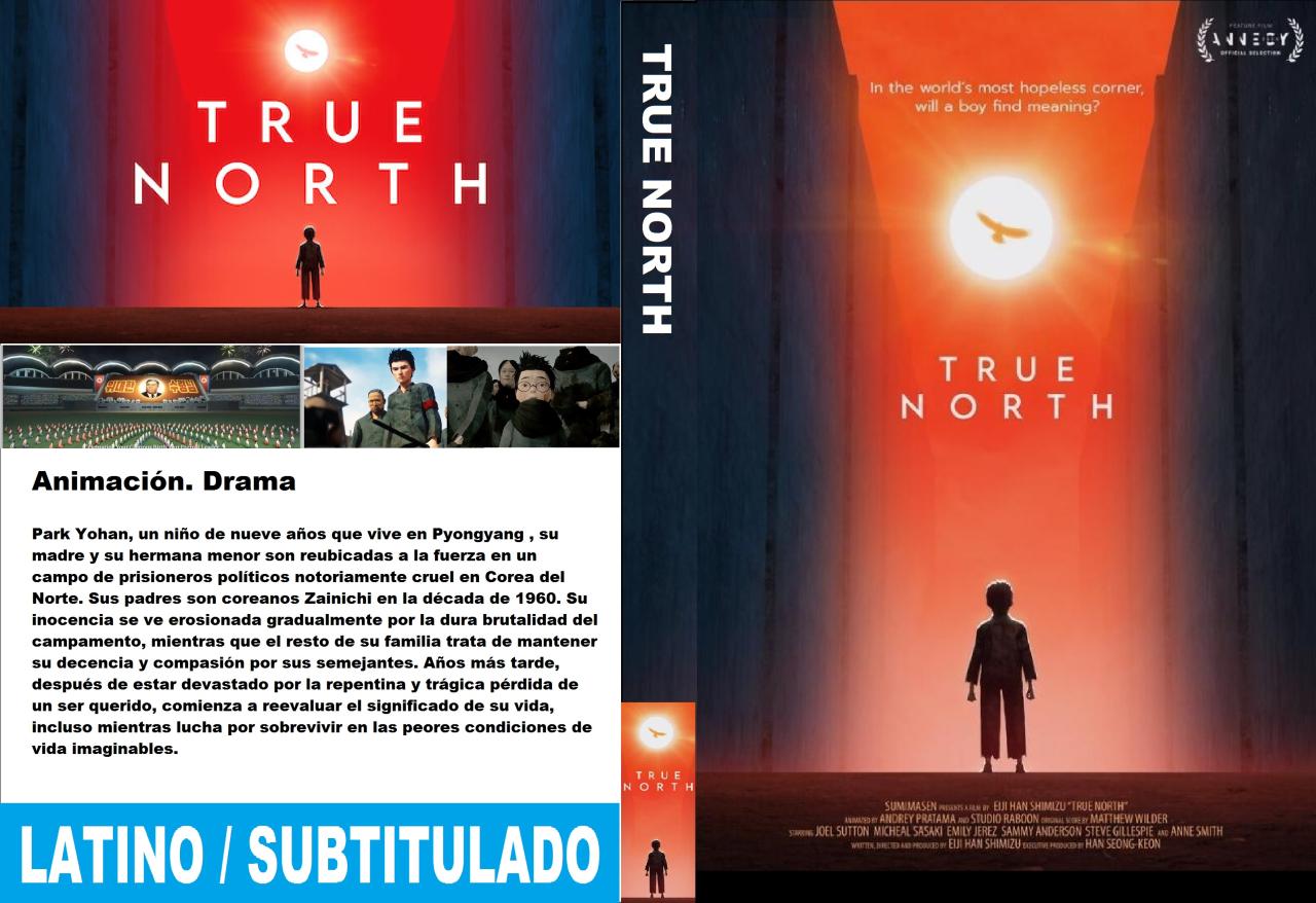 True North
