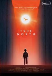 True North