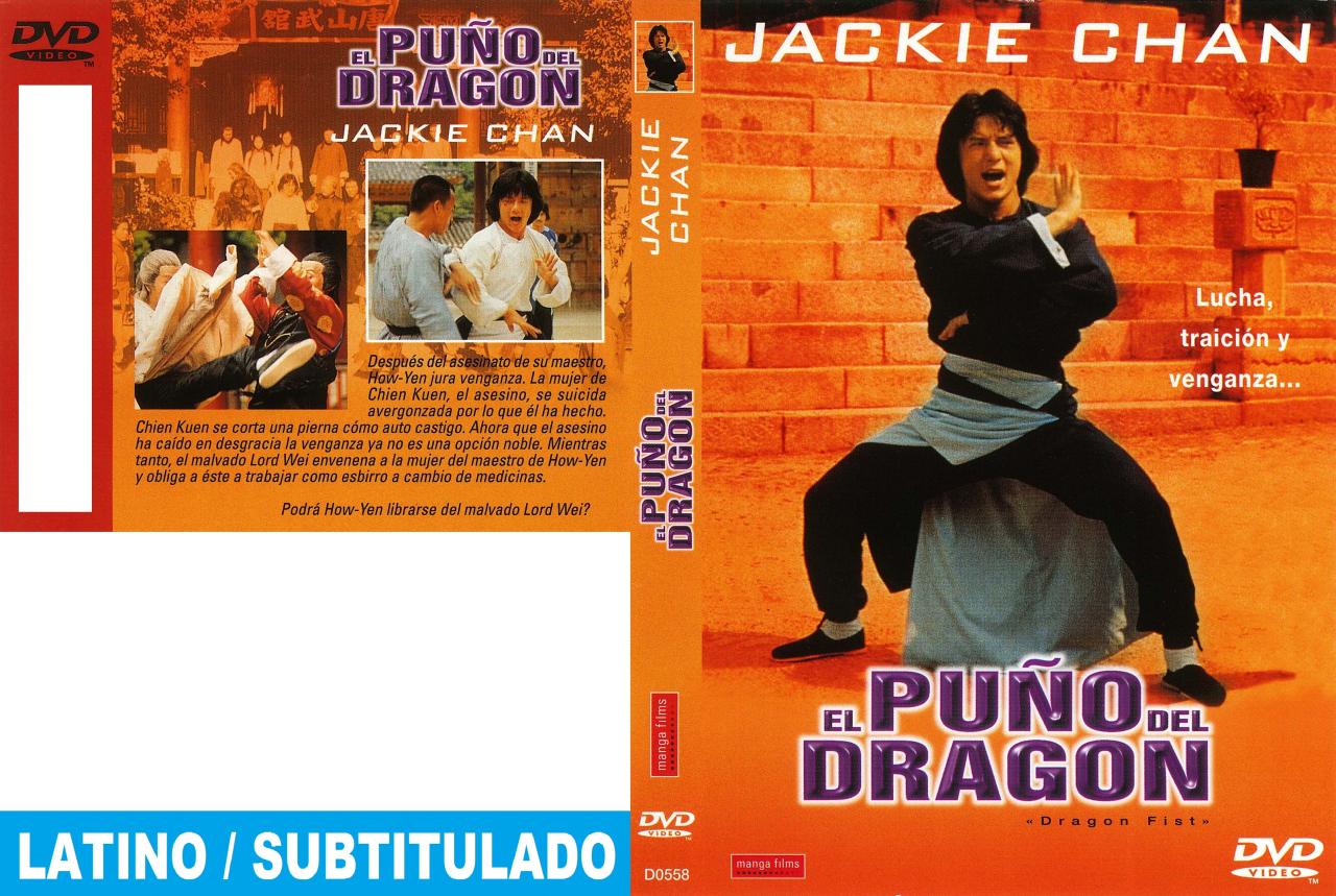 El puño del dragón