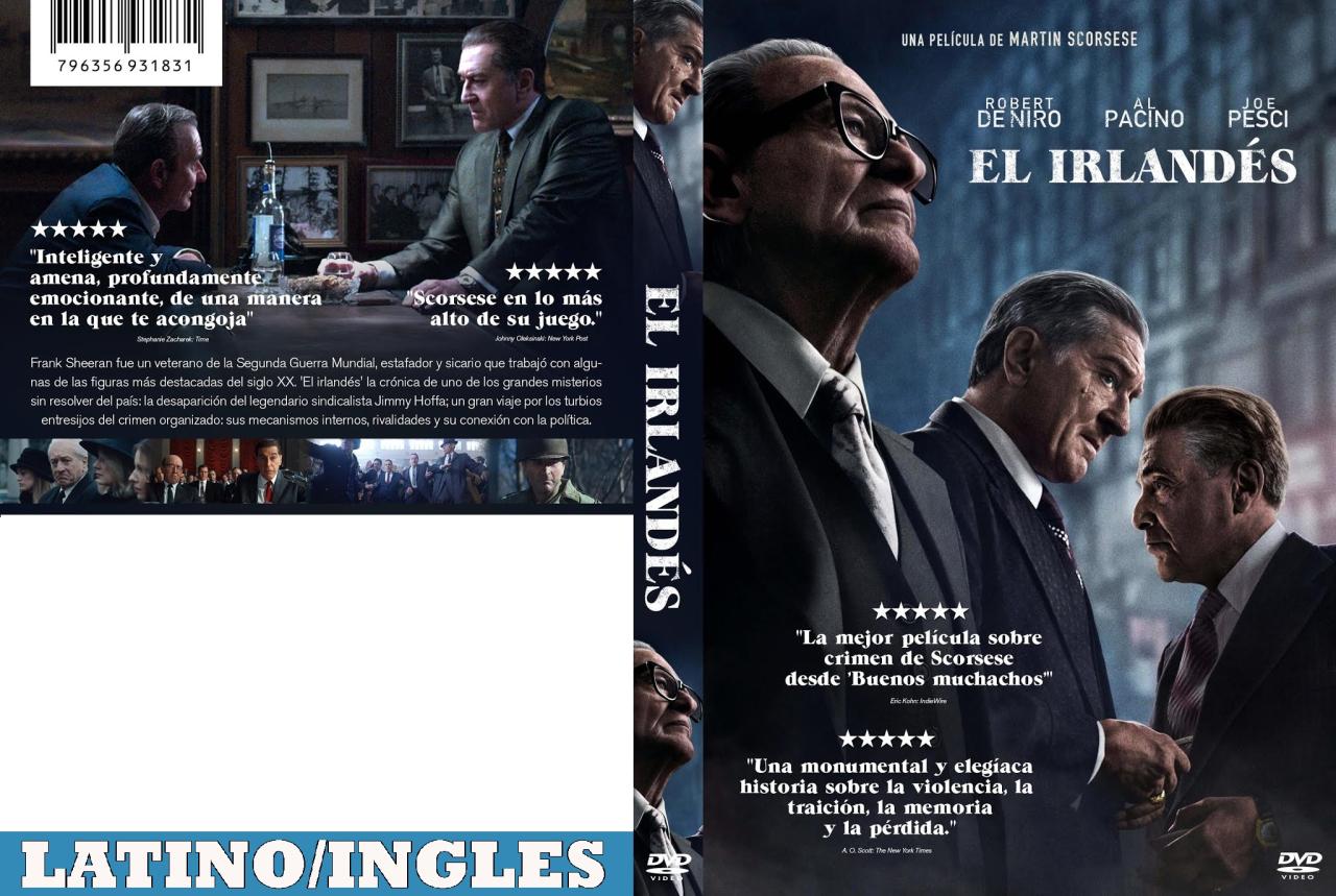El irlandés