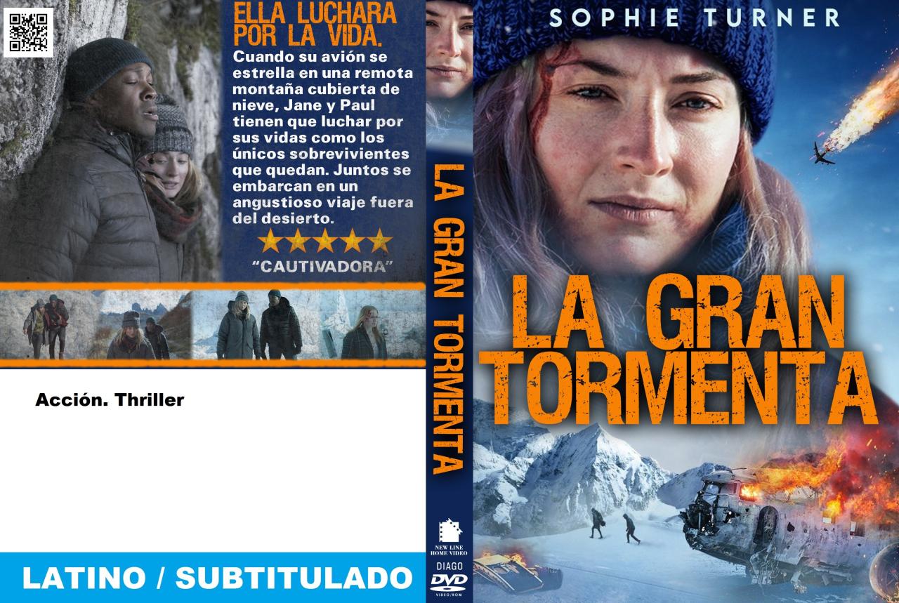 Survive - La gran tormenta