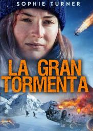 Survive - La gran tormenta