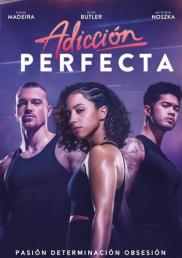 Adicción perfecta