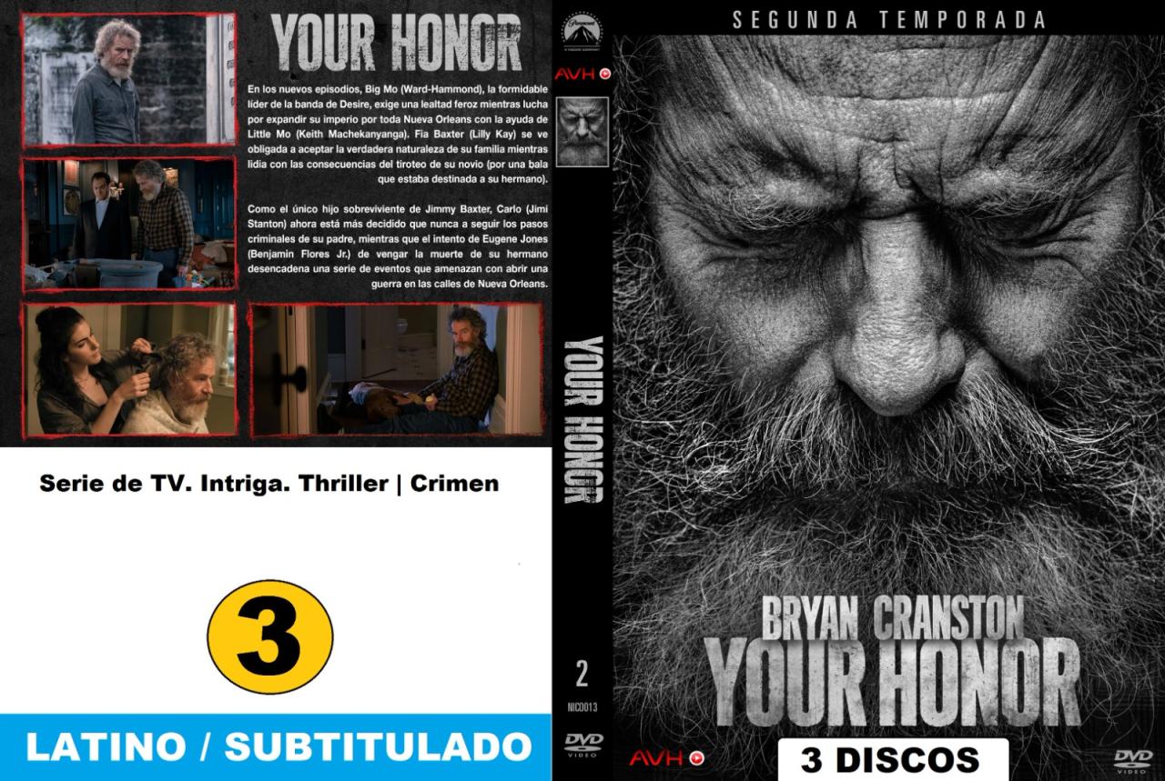 Your Honor - Segunda Temporada