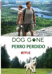 Perro perdido