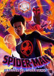 Spider-Man: A través del Spider-Verso