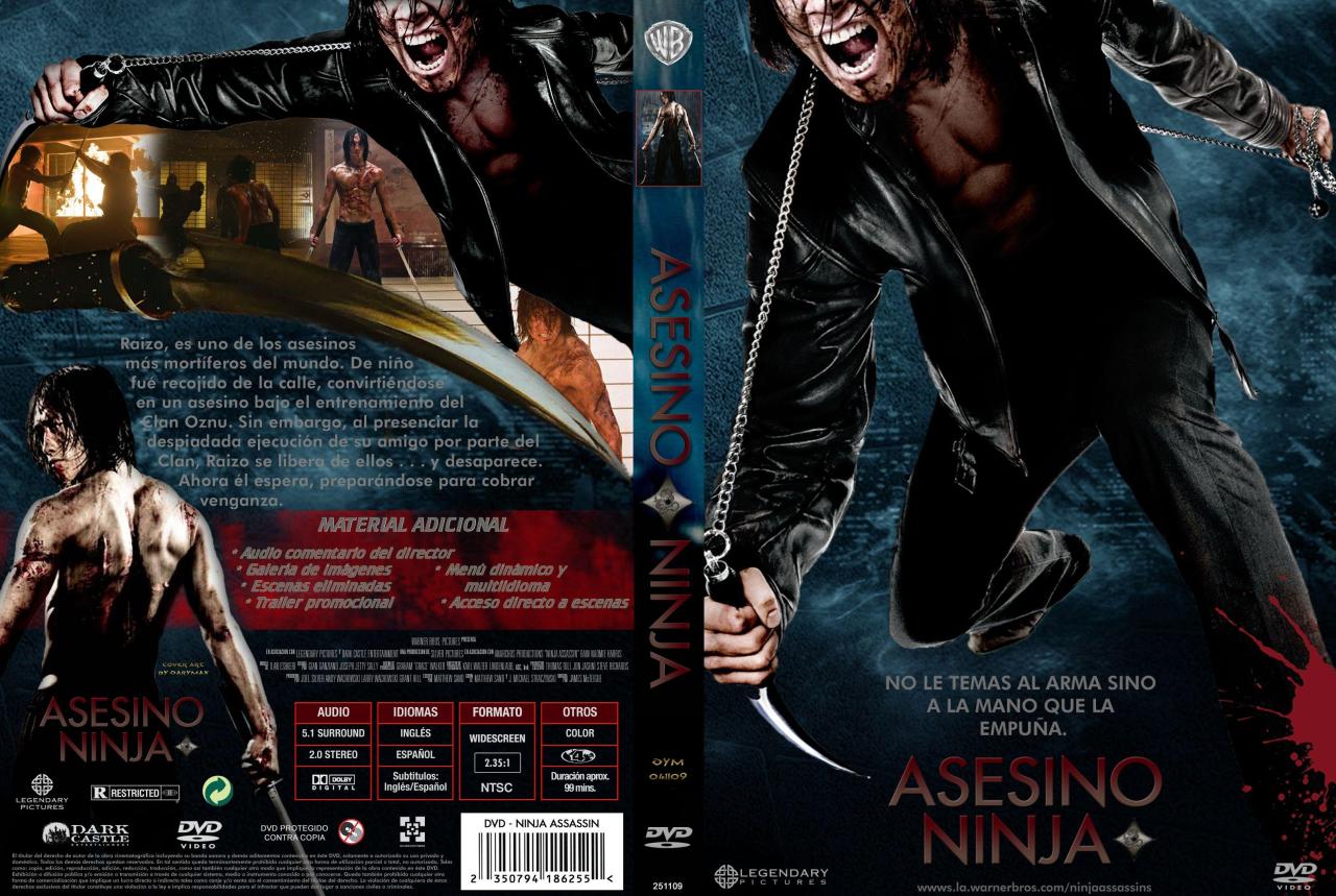 Asesino ninja