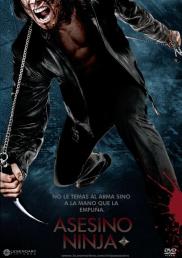 Asesino ninja