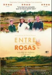 Entre rosas