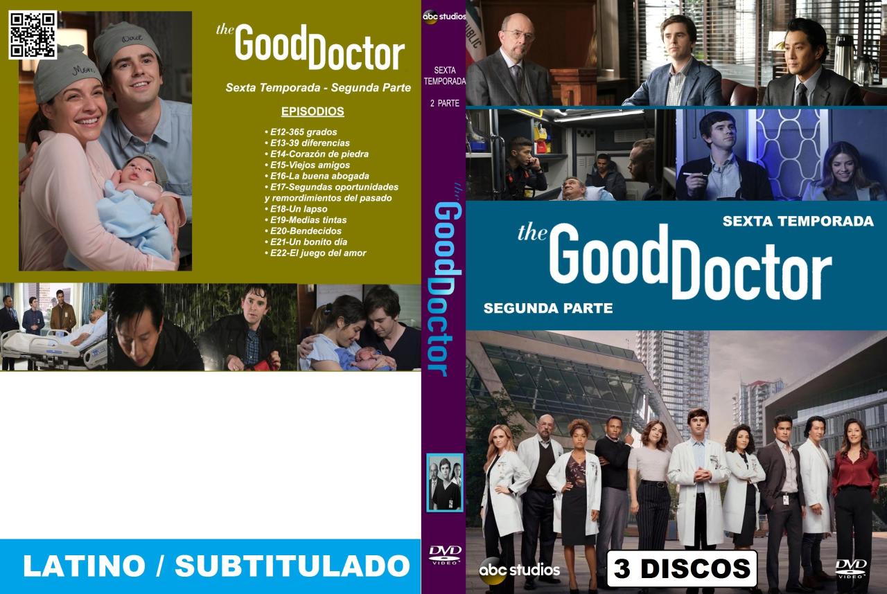 The Good Doctor (Temporada 06 Parte 2)
