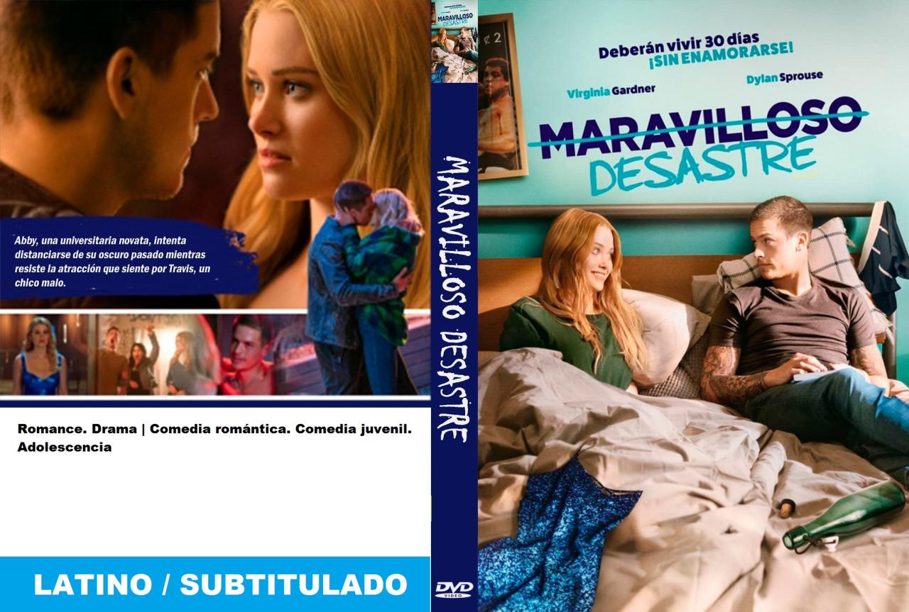 Maravilloso desastre