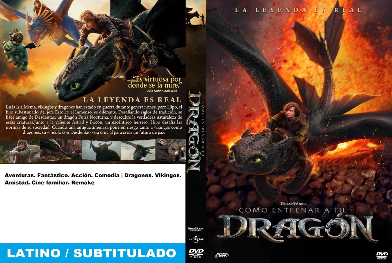 Cómo entrenar a tu dragón