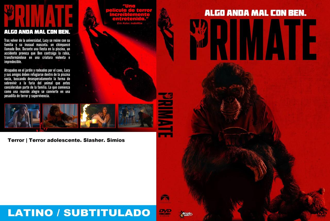 Primate