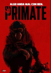 Primate